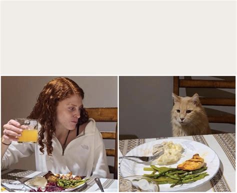 Cat At Table Meme