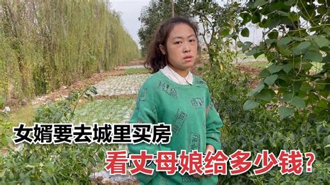 【大力与小贝】安徽姑娘远嫁山东六年，如今去城里买房，看娘家究竟给了多少钱？