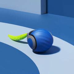 Speedy Tail 2.0 Smart Rolling Cat Toy – dogtownindia