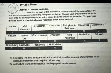 Activity 3: Answer the Riddle!Given the concept of the evolution of ...
