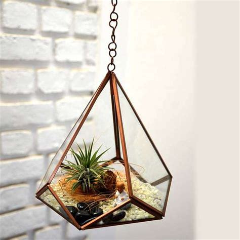 Buy Hanging pyramidal terrarium (7.5in Ht) online from Nurserylive at ...