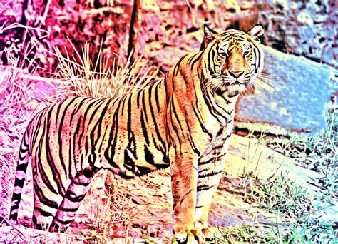 Image result for Color Gradient Photoshop