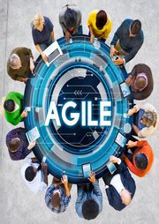 Agile Project Team 的图像结果