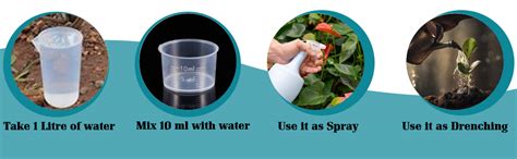 PLANT'S BUDDY - Bacillus Subtilis Liquid (2 * 10^9 CFU/ml) - Bio ...