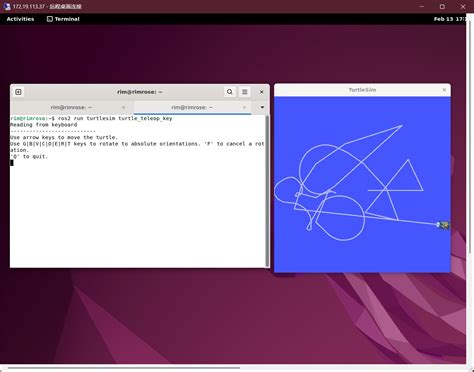 Multimaus Tutorial 的图像结果