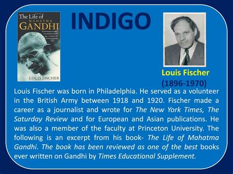 Indigo Class 12 Project File 的图像结果