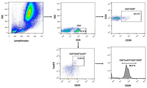 Elevated CD39+T-Regulatory Cells and Reduced Levels of Adenosine ...