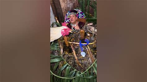 AMBIL SEKARANG