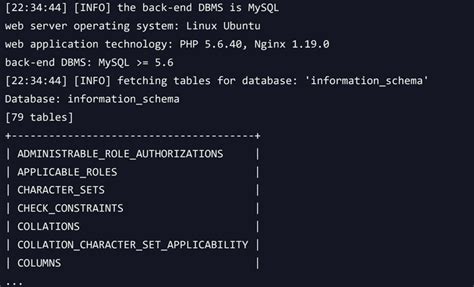 Sqlmap Tutorial Kali 的图像结果
