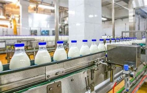10 Best Food Business Ideas with Low Investment in India | Food Business