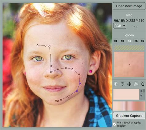 Image result for Codijy Colorizer Pro