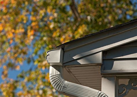 Leafguard vs. Leaf Filter - Leafguard