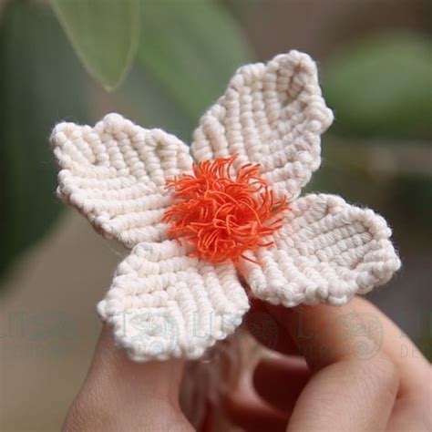 Image result for Macrame Flower Pattern Free