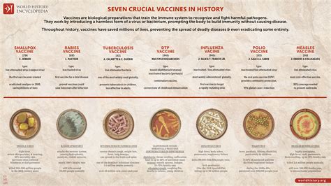 Seven Crucial Vaccines in History - World History Encyclopedia - history of vaccine