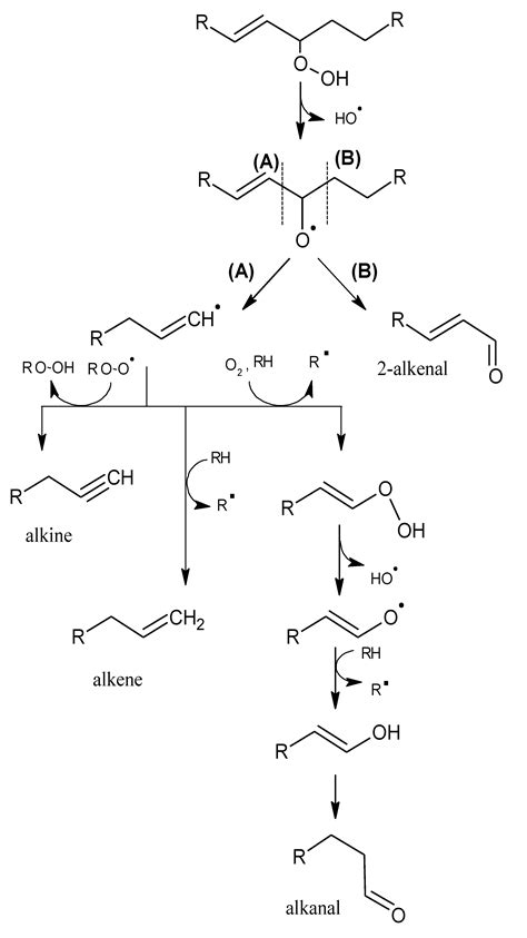 The Development of Aromas in Ruminant Meat