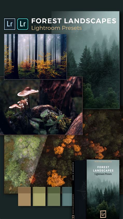 Lightroom presets for moody forest landscapes – Artofit