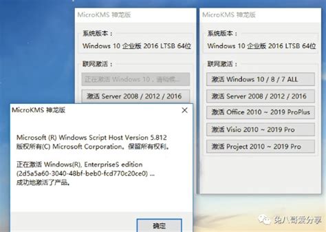 MicroKMS_v20.09.12神龙版 Windows激活工具 | 兔八哥爱分享