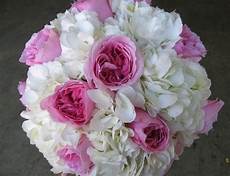 costo fiori peonie costo peonia quanto costano le peonie costo fiori peonie costo peonia quanto costano le peonie