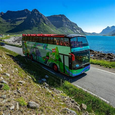 LOFOTEN ARCTIC SUMMER TOUR BY BUS (2025) All You Need to Know BEFORE ...