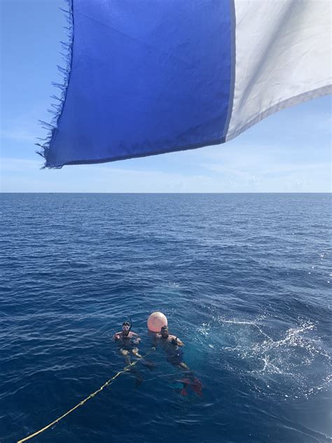 South Florida Diving Headquarters