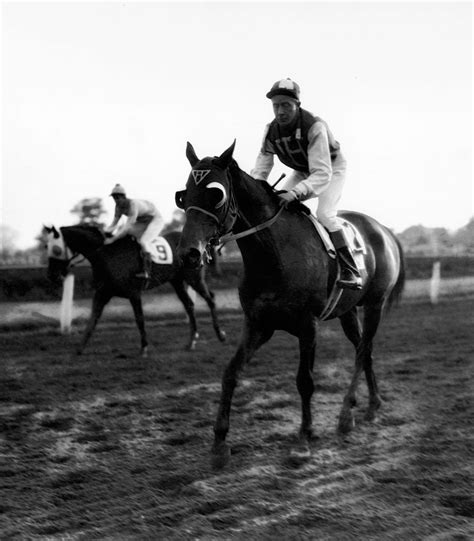 Seabiscuit (KY) | National Museum of Racing and Hall of Fame