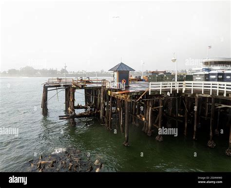 Santa Cruz, USA. 24th Dec, 2024. SANTA CRUZ, CA - DECEMBER 24: Aerial ...