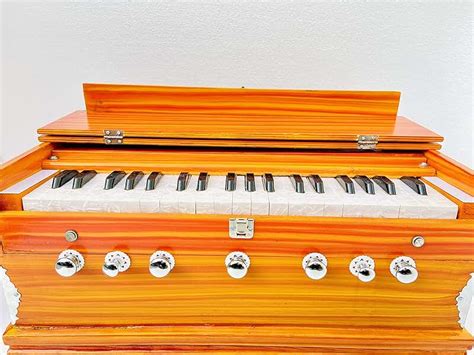 Amazon.in: Harmonium