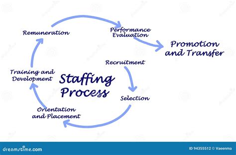 Staffing Process stock illustration. Illustration of training - 94355512