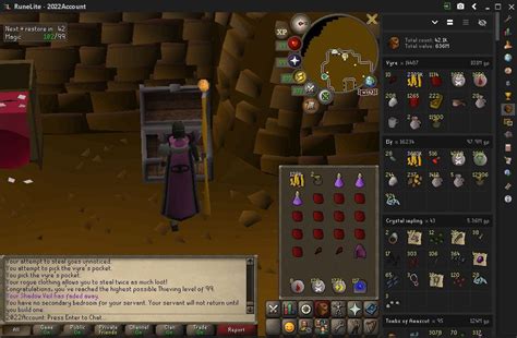 Image result for Vyres Theiving Guide