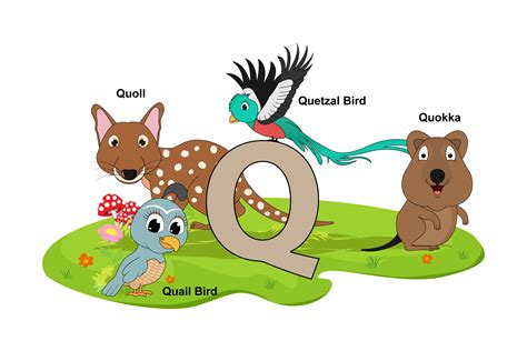 Cute Animal Name with Alphabet Letter Q Graphic by curutdesign ...