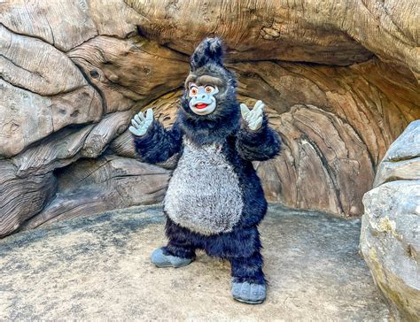 Terk from Tarzan has Been Spotted at Disney's Animal Kingdom ...