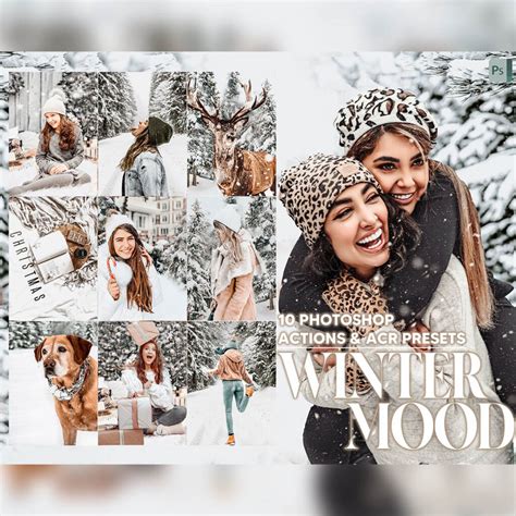 10 Photoshop Actions, Winter Mood Ps Action, Christmas ACR Preset ...