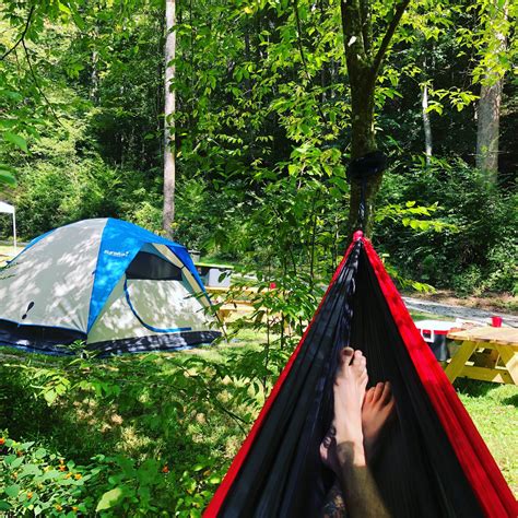 Turkey Creek Campground | The Dyrt