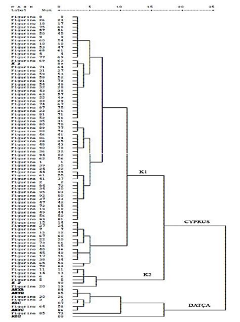 Image result for Dendrogram Excel