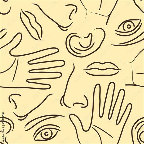 Image result for Basic Body Pattern