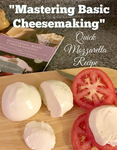 Image result for Cheesemaking Recipes