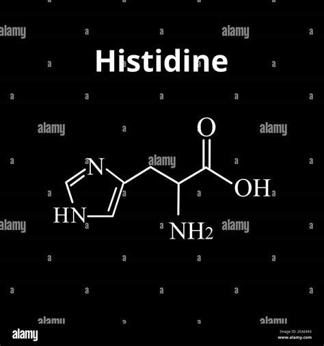 Amino Acid Code For Histidine at Jose Cheung blog