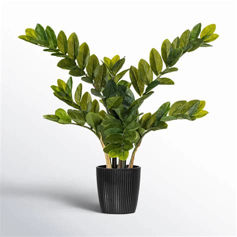 Artificial Plants | Lifelike Faux Greenery for Homes & Offices – Page ...