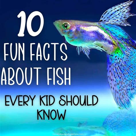10 Fun Facts About Fish + Free Fish Fact Worksheet