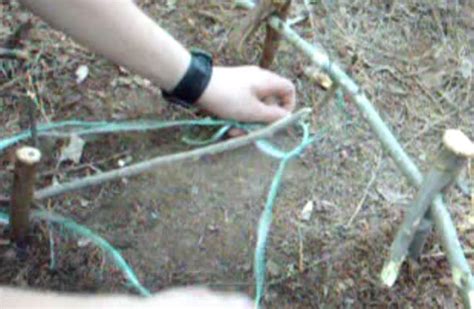 Spring Snare Trigger 的图像结果