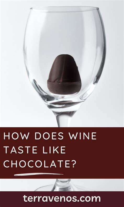 How Does Wine Taste Like Chocolate? — tèr·ra·ve·nos
