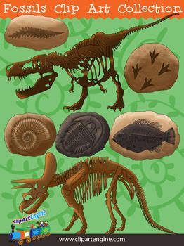 Fossils Clip Art Collection by Clip Art Engine | TpT
