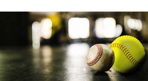 Image result for Lab Baseball