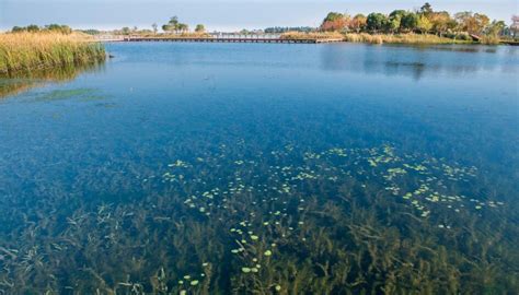 无锡加快推进80条市级美丽示范河湖建设 让百姓畅享水生态福利
