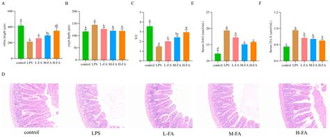 Ferulic Acid Alleviates Intestinal Inflammatory Damage in Mice ...