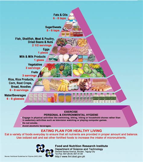 Healthy Food Pyramid for Teens