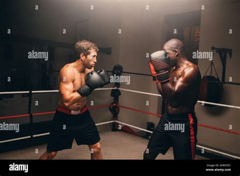 Boxing Fighting Position 的图像结果