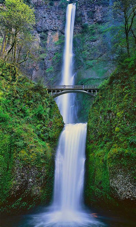 Top 10 Oregon Waterfall Hikes! - Mike Putnam Photography