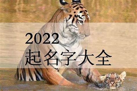 属虎男孩名字大全 2022年清秀俊逸男宝宝好名字-周易起名-国学梦