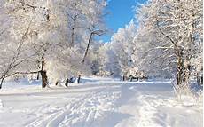 Background Images Snow by Snow Background Pictures 59 Images Background Images Snow